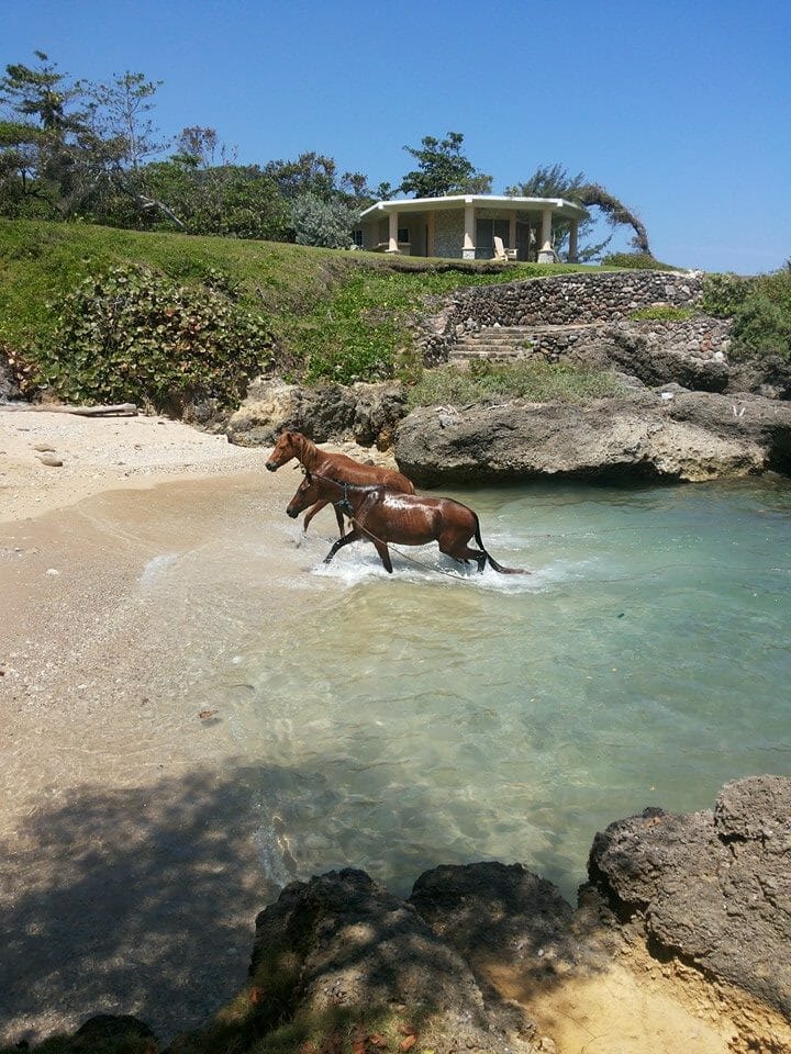 Private Jamaica Beachfront Villa